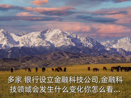 多家 銀行設立金融科技公司,金融科技領域會發(fā)生什么變化你怎么看...