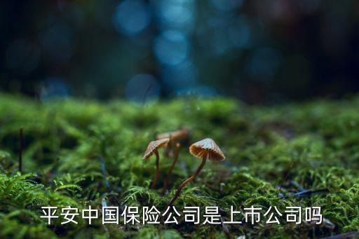 中國平安2015年總資產