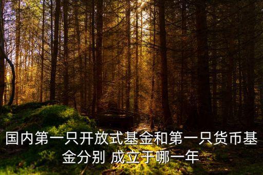 國內(nèi)第一只開放式基金和第一只貨幣基金分別 成立于哪一年