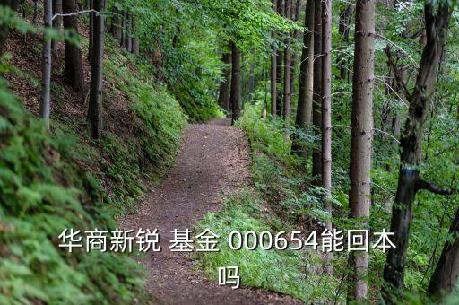000654基金凈,華商000654基金凈值