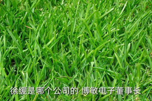 徐緩是哪個(gè)公司的 博敏電子董事長