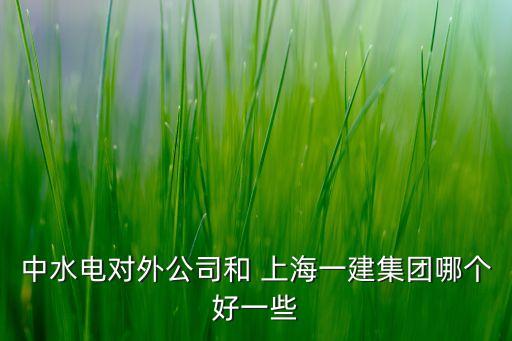 中交和上海建工哪個(gè)比較好,中交二公局哪個(gè)公司比較好