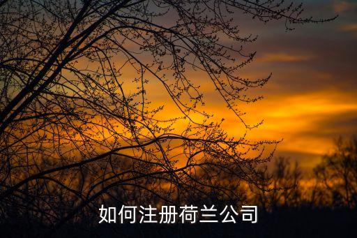 如何注冊荷蘭公司