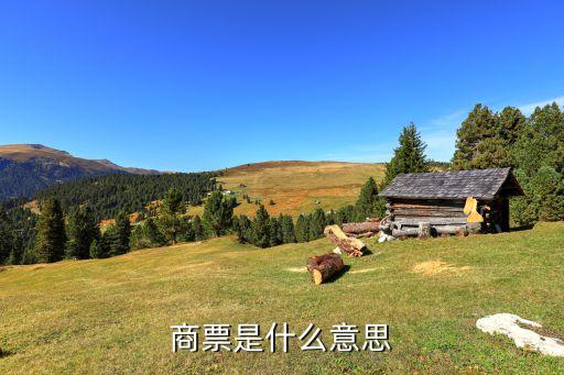 攀鋼集團商業(yè)承兌匯票,中南集團商業(yè)承兌匯票怎么樣
