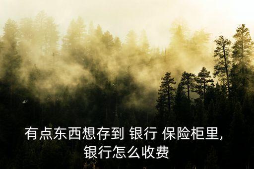 銀行保險柜可以寄存黃金首飾嗎,在銀行保險柜放黃金首飾沒了怎么辦