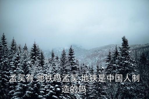 生產(chǎn)地鐵車輛的公司,成都地鐵7號線車輛誰生產(chǎn)的
