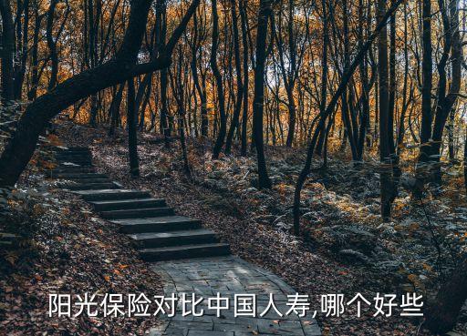  陽光保險(xiǎn)對比中國人壽,哪個(gè)好些