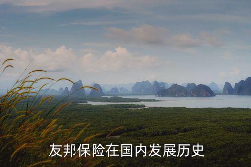  友邦保險在國內(nèi)發(fā)展歷史
