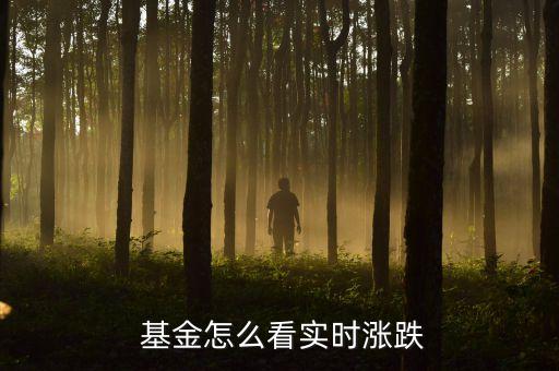  基金怎么看實(shí)時(shí)漲跌