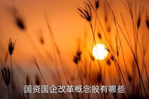 上海實業(yè)控股高管,上海傳音控股高管名單