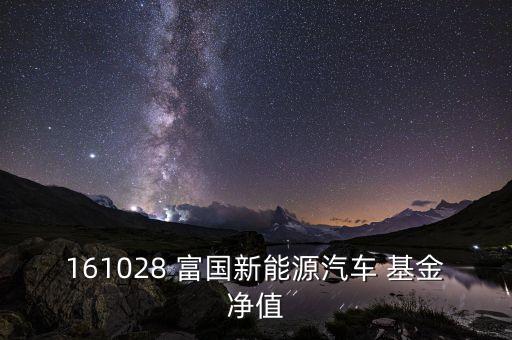 富國(guó)新發(fā)行基金,富國(guó)虧損最嚴(yán)重的基金