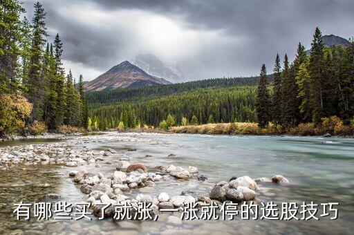 如何選擇馬上會(huì)漲的股票