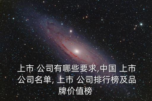 新加坡上市公司年報