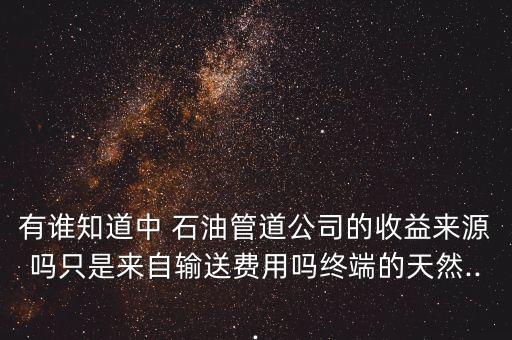 有誰(shuí)知道中 石油管道公司的收益來(lái)源嗎只是來(lái)自輸送費(fèi)用嗎終端的天然...