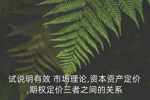 試說明有效 市場(chǎng)理論,資本資產(chǎn)定價(jià),期權(quán)定價(jià)三者之間的關(guān)系