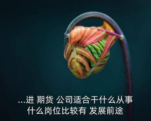 ...進(jìn) 期貨 公司適合干什么從事什么崗位比較有 發(fā)展前途