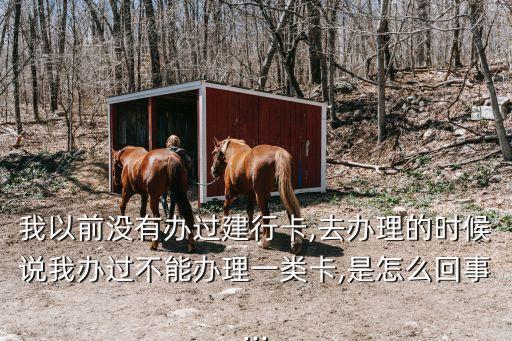 我以前沒(méi)有辦過(guò)建行卡,去辦理的時(shí)候說(shuō)我辦過(guò)不能辦理一類(lèi)卡,是怎么回事...