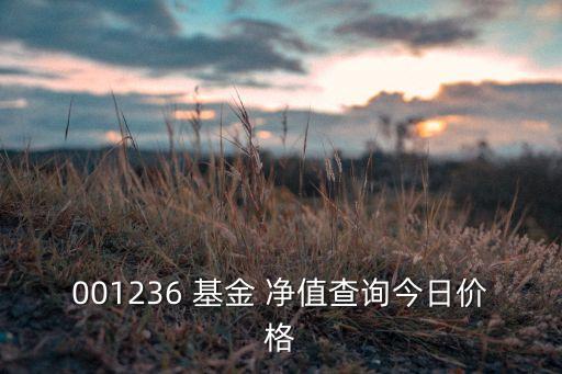 博時(shí)貳號前基金凈值