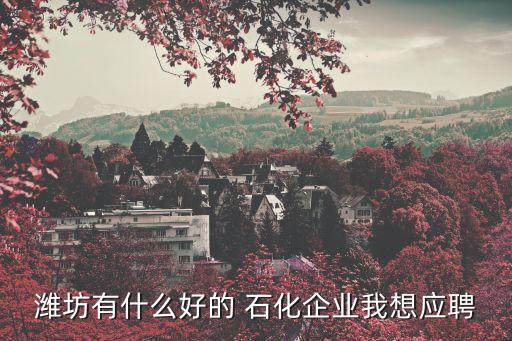 濰坊有什么好的 石化企業(yè)我想應聘