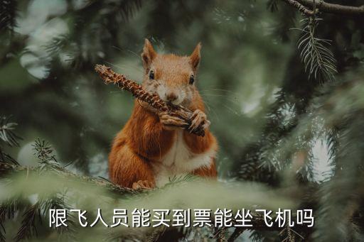 機(jī)場(chǎng)安檢股票