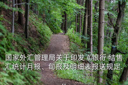 國家外匯管理局關(guān)于印發(fā)《銀行 結(jié)售匯統(tǒng)計月報、旬報及明細表報送規(guī)定...