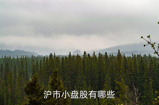 滬市小盤(pán)股有哪些
