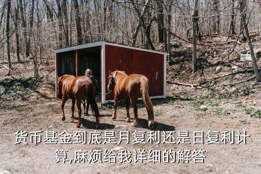  貨幣基金到底是月復(fù)利還是日復(fù)利計(jì)算,麻煩給我詳細(xì)的解答