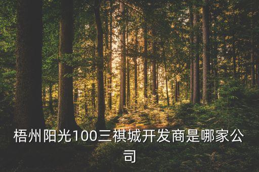 保定市城興市政建設(shè)投資有限公司