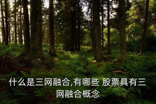 什么是三網(wǎng)融合,有哪些 股票具有三網(wǎng)融合概念