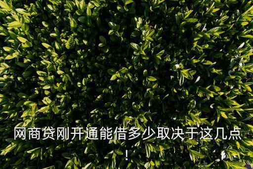  網商貸剛開通能借多少取決于這幾點!