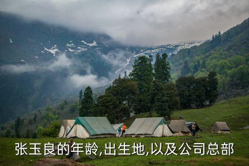 張玉良的年齡,出生地,以及公司總部