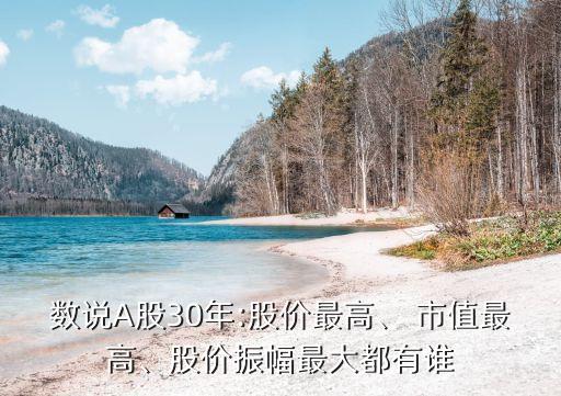 數(shù)說A股30年:股價最高、 市值最高、股價振幅最大都有誰