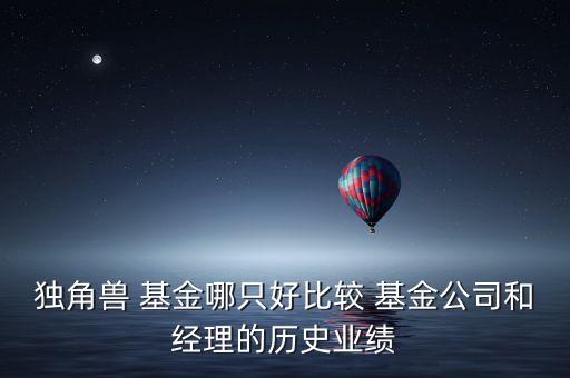 獨角獸 基金哪只好比較 基金公司和經(jīng)理的歷史業(yè)績