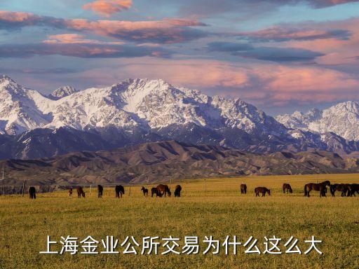 上海黃金交易所山,24k99上海黃金交易所