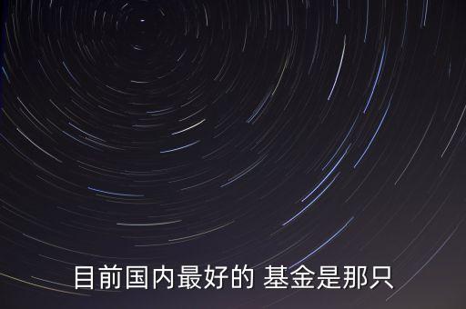 目前國內(nèi)最好的 基金是那只