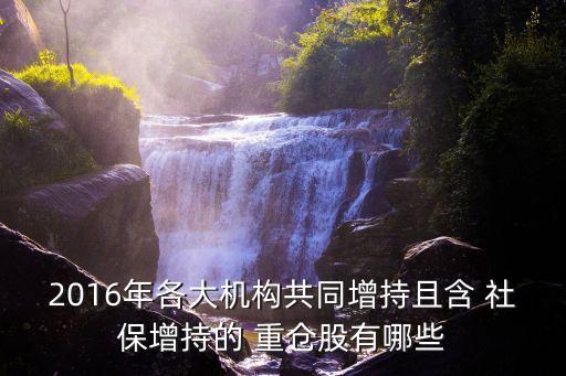 社保基金重倉(cāng)股一覽,2023年社?；鹬貍}(cāng)股