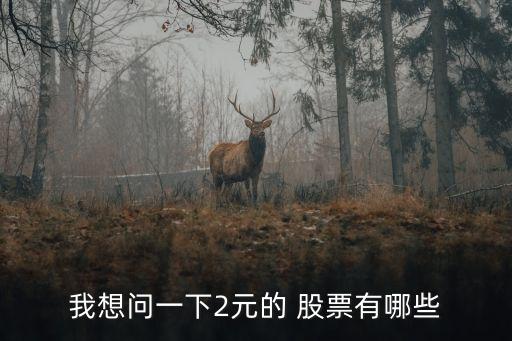 我想問(wèn)一下2元的 股票有哪些