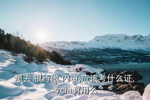 想去 銀行做 內(nèi)審,應(yīng)該考什么證,考cia有用么