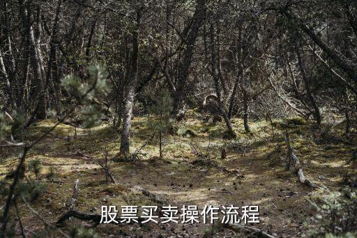  股票買(mǎi)賣(mài)操作流程