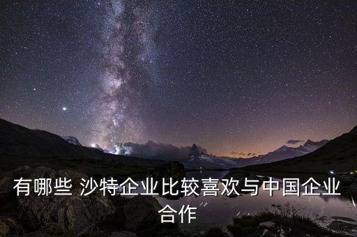 沙特中土公司,中土沙特分公司