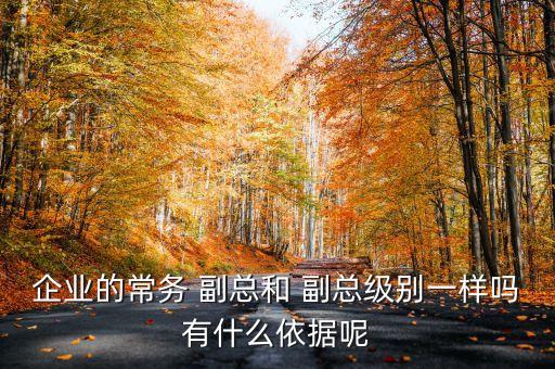 企業(yè)的常務(wù) 副總和 副總級別一樣嗎有什么依據(jù)呢