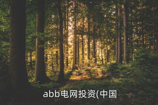  abb電網(wǎng)投資(中國(guó)