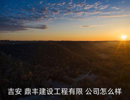 鼎豐評估公司,鼎豐房地產評估公司