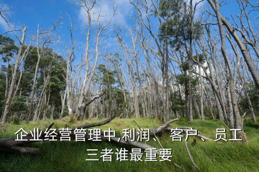 企業(yè)經(jīng)營管理中,利潤、 客戶、員工三者誰最重要