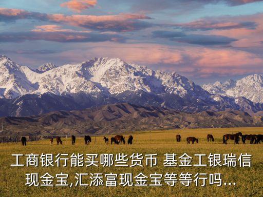 工商銀行能買(mǎi)哪些貨幣 基金工銀瑞信現(xiàn)金寶,匯添富現(xiàn)金寶等等行嗎...