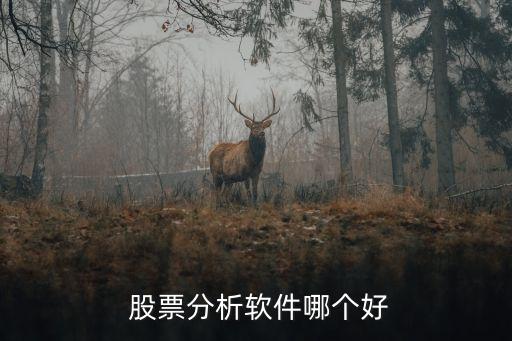  股票分析軟件哪個好