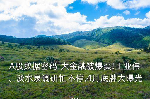 A股數(shù)據(jù)密碼:大金融被爆買!王亞偉、淡水泉調(diào)研忙不停,4月底牌大曝光...