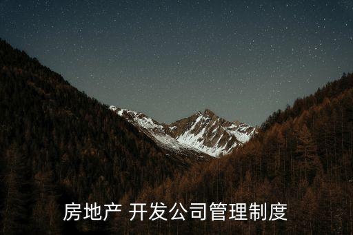 房地產 開發(fā)公司管理制度