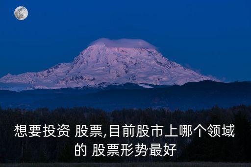 想要投資 股票,目前股市上哪個(gè)領(lǐng)域的 股票形勢(shì)最好