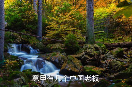 意甲有幾個(gè)中國(guó)老板